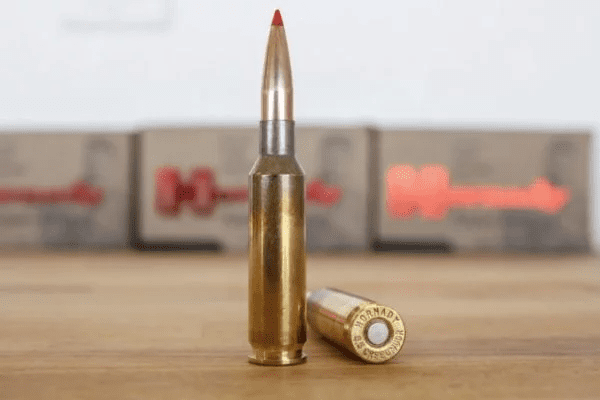 Smyth Busters: Does Your AR-15 Need Anti-Walk Pins?